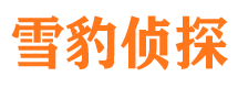 邢台调查事务所